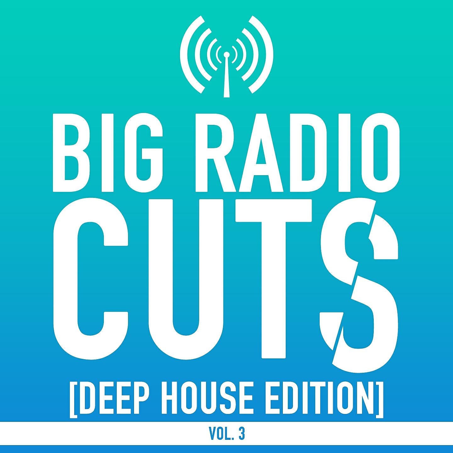 DIMIX - Coming Alive (Fallow Remix Radio Edit)