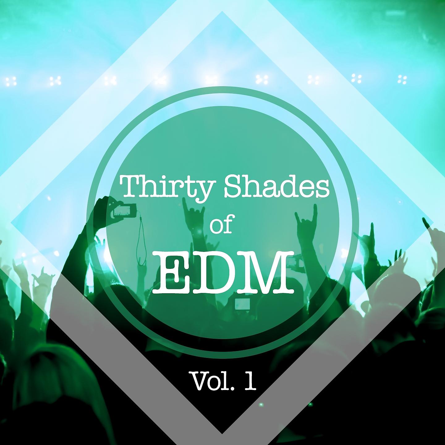 Постер альбома Thirty Shades of EDM, Vol. 1