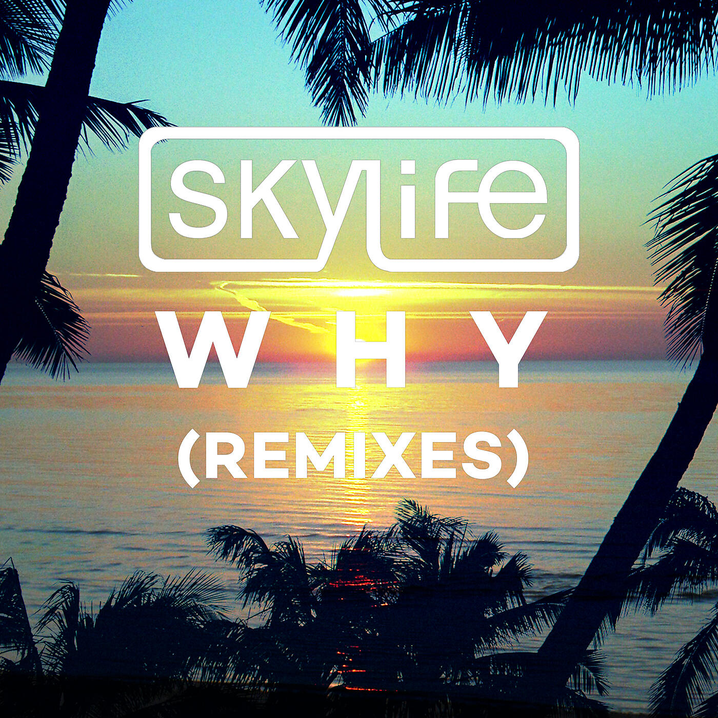 Skylife - Why (Disco Fries Remix)