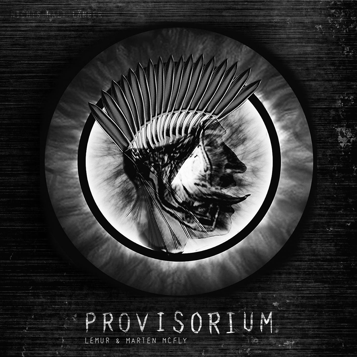 Постер альбома Provisorium