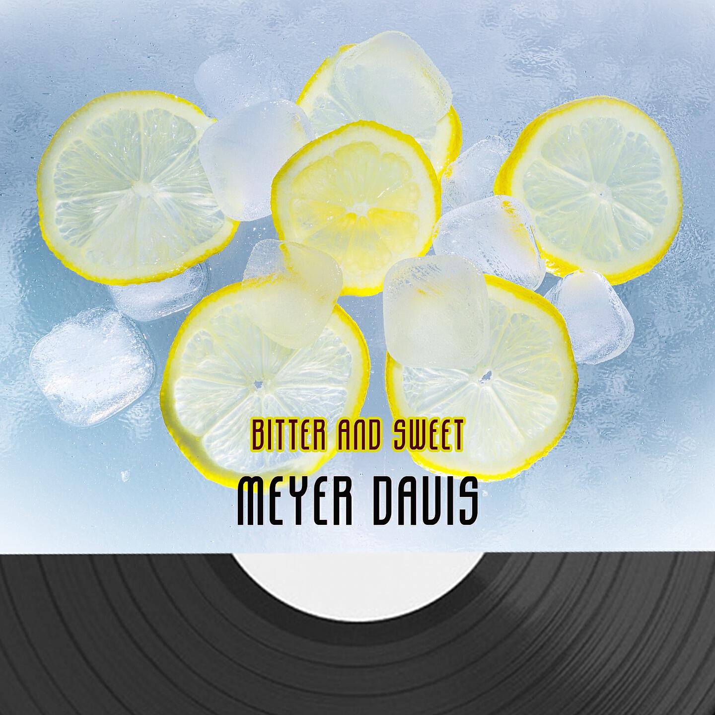 Meyer Davis - Sunny Medley: Sunny / Where Or When / Who Cares / A Fine Romance / Sunshine Girl