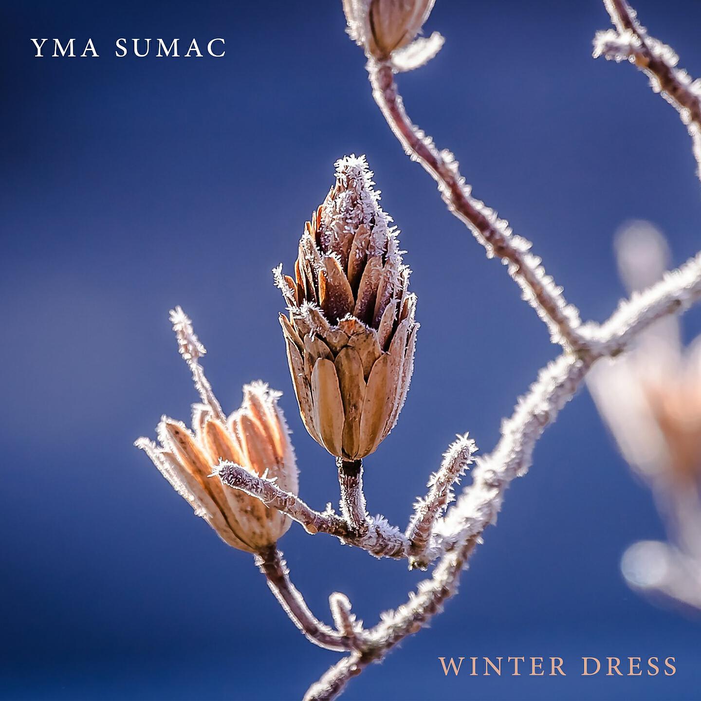 Yma Sumac - Flor De Canela (Cinnamon Flower)