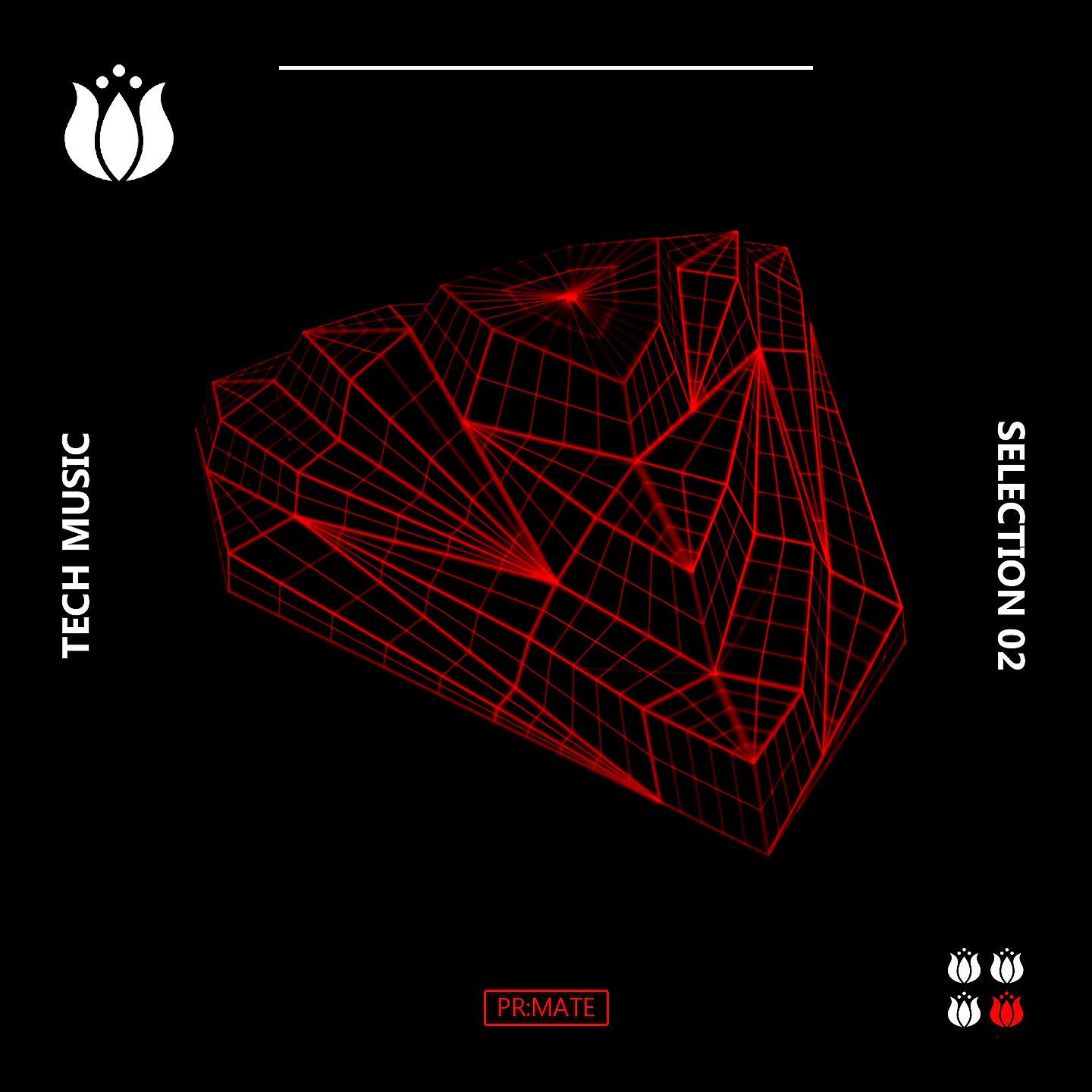 Leonardo Piva - Numbers