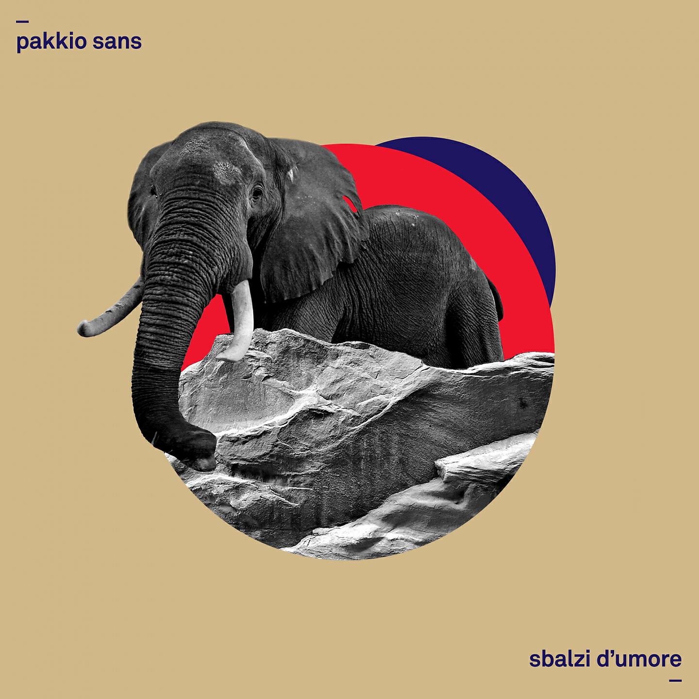 Pakkio Sans - Easy Boy, Easy Girl