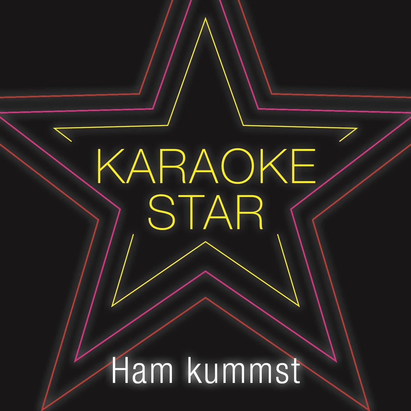 Постер альбома Ham kummst (Karaoke Version)