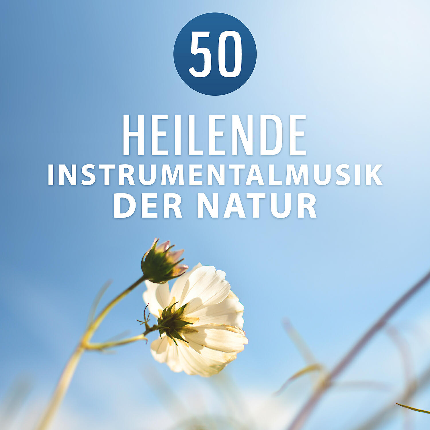 Einschlafen Akademie - Positives Denken: Ayurveda Massage