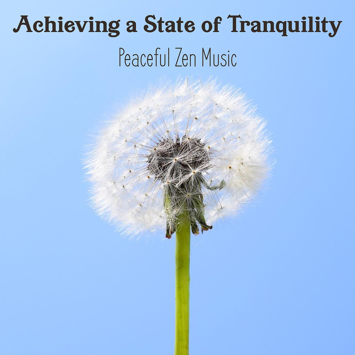 Постер альбома Achieving a State of Tranquility - Peaceful Zen Music for Meditation, Relaxing Yoga Exercise, Sleep Problems and Relieve Stress (Calming Water Ambient, Birds Sounds & Nature Songs)