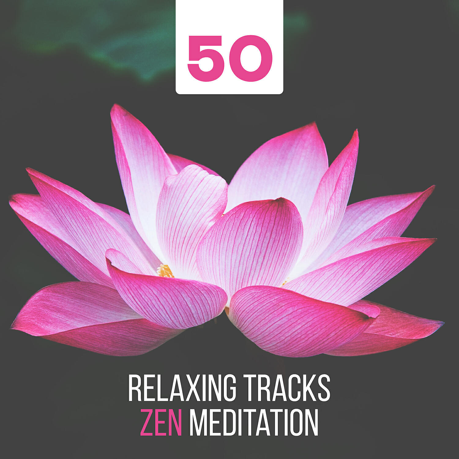 Relaxation Ocean Waves Academy - Smooth Flute & Mountain Rain: Hatha Yoga