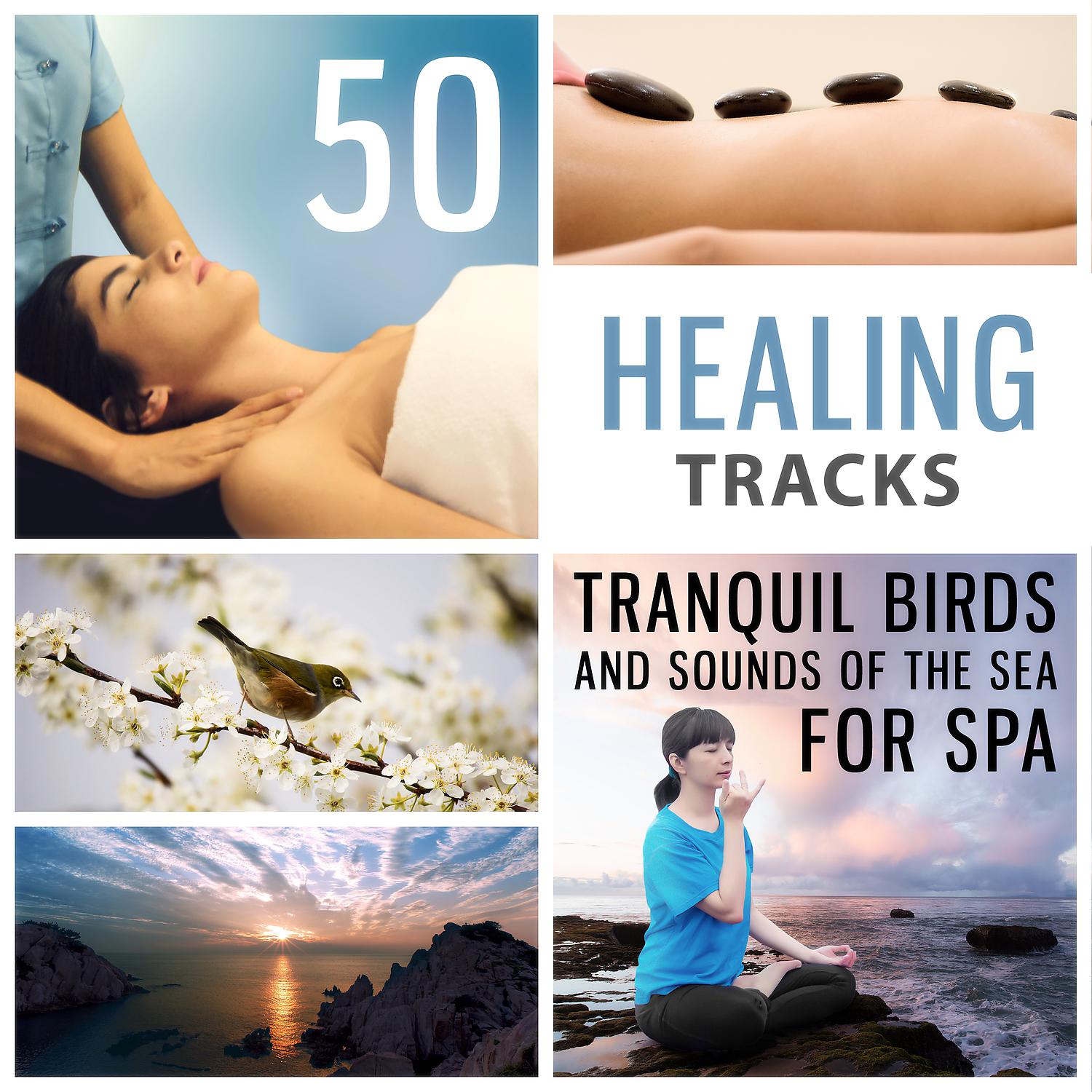 Постер альбома 50 Healing Tracks: Tranquil Birds and Sounds of the Sea for Spa & Massage, Instrumental Background Music to De-Stress, Inner Peace, Awakening (Yoga Meditation)