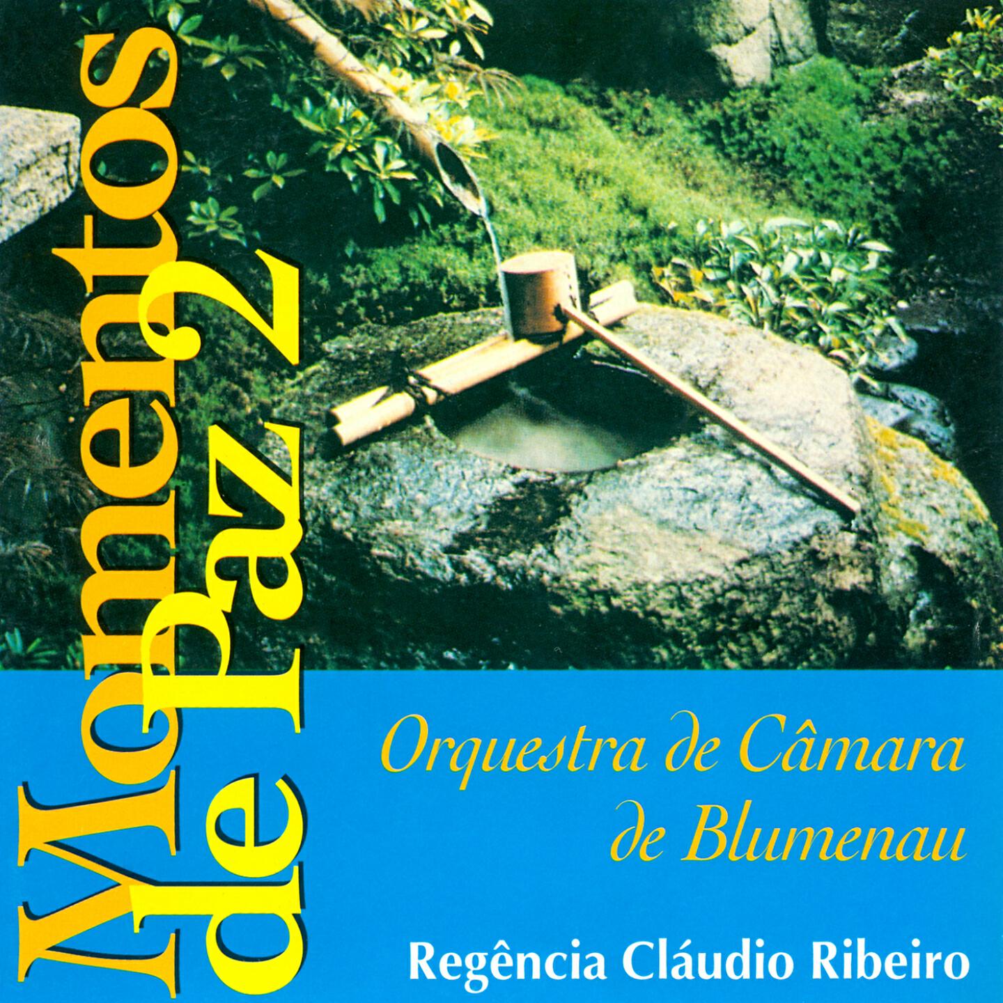 Orquestra de Câmara de Blumenau - Adagio in G Minor (Arr. for String Orchestra)