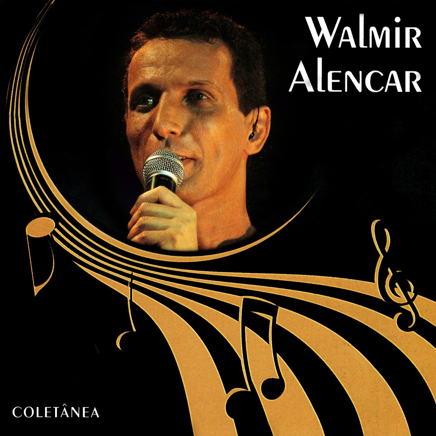 Постер альбома Walmir Alencar