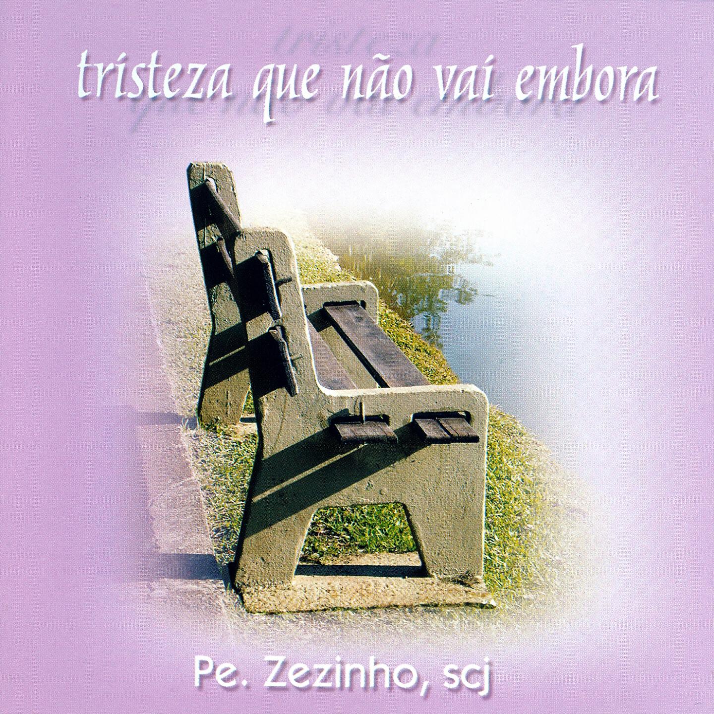 Pe. Zezinho SCJ - Se a Dor Me Visitar