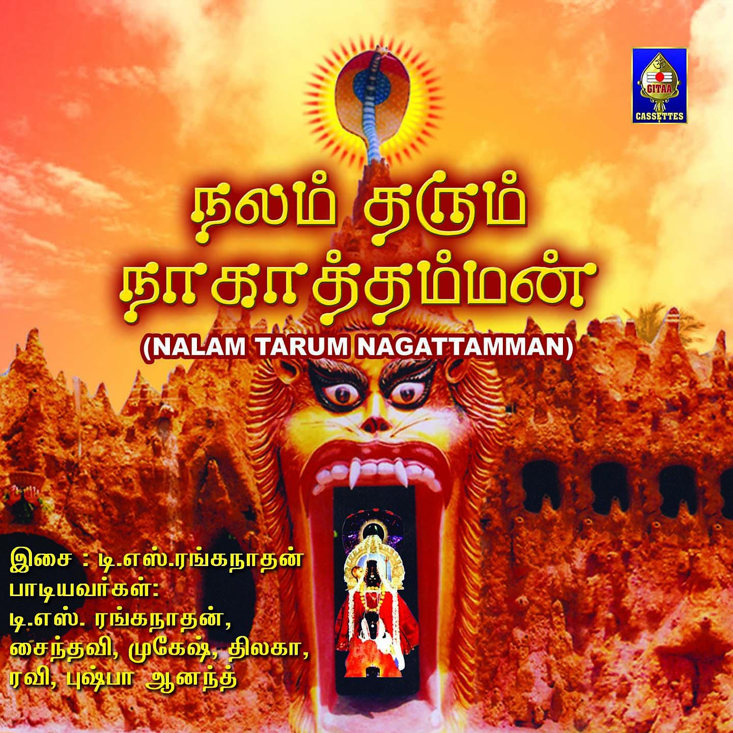 Постер альбома Nalam Tarum Nagattamman