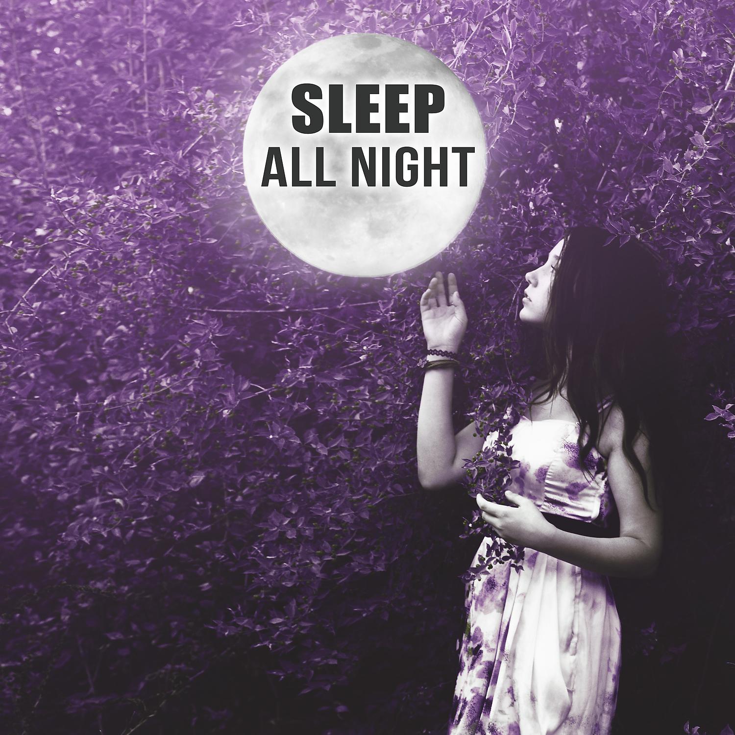 Постер альбома Sleep All Night – Good Sleep with New Age, Ambient Night, Moon Shadow, Soft and Calm Sounds