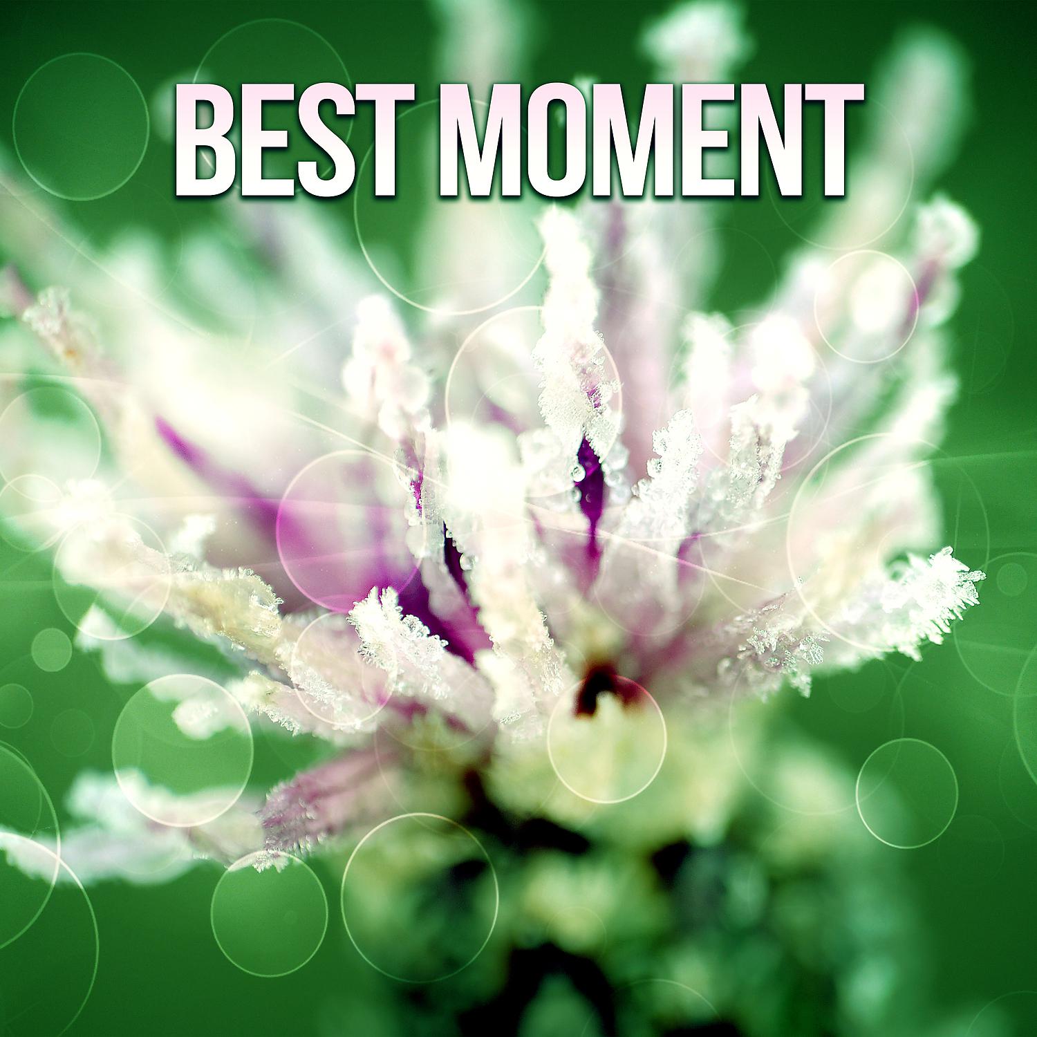 Постер альбома Best Moment - Beautiful Mind, Breathe Well, Perfect Precision, Only Nature, Rhythm of Rest