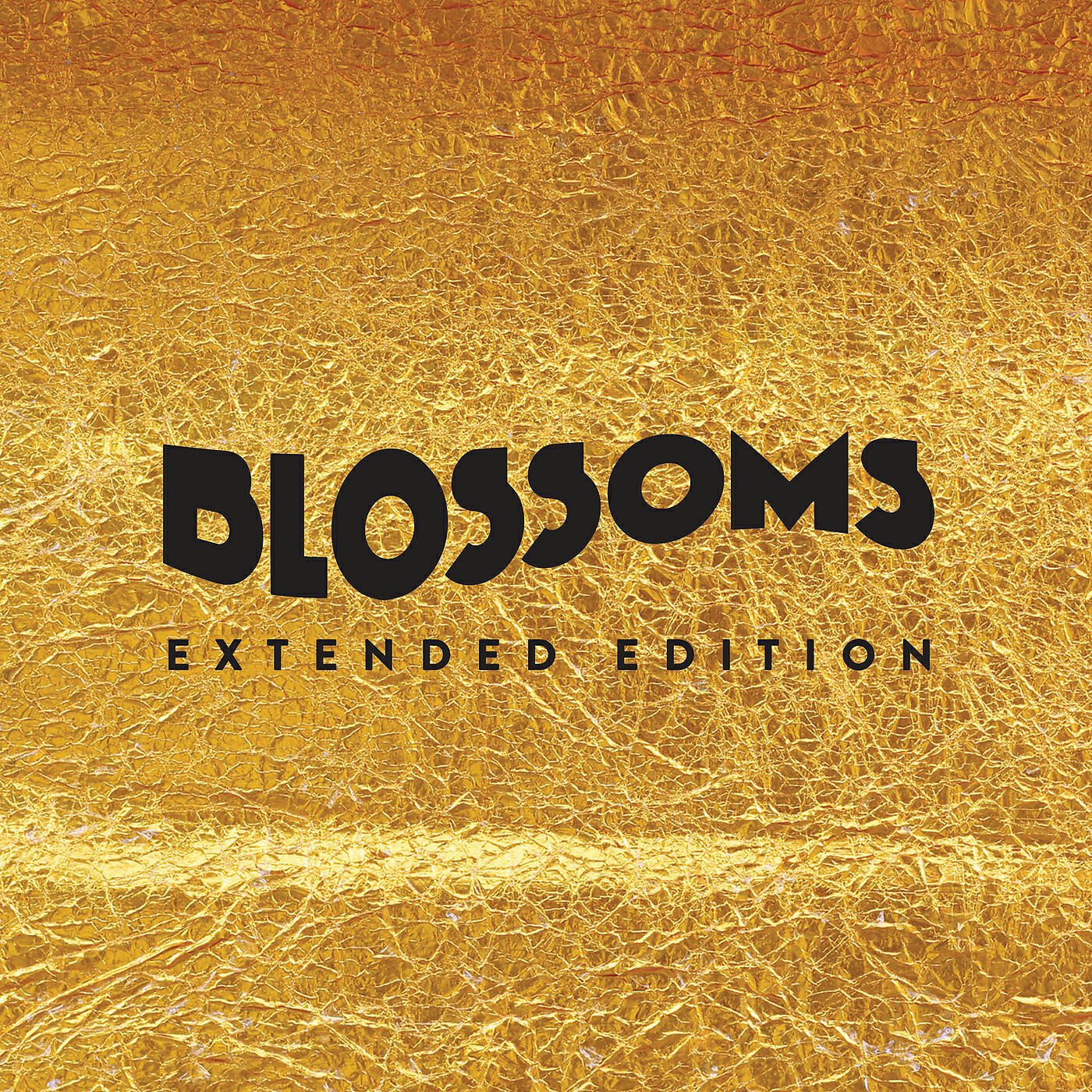 Blossoms - Blown Rose