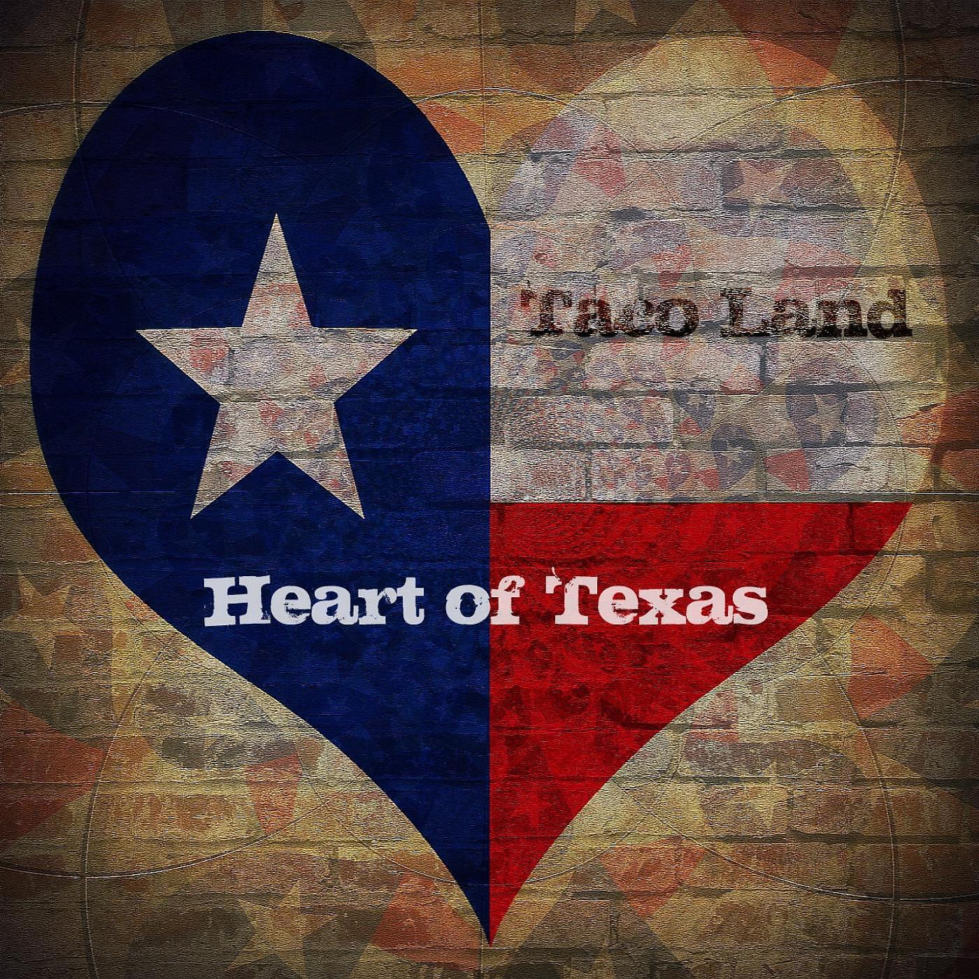 Taco Land - Five Years (Bowie Cover)