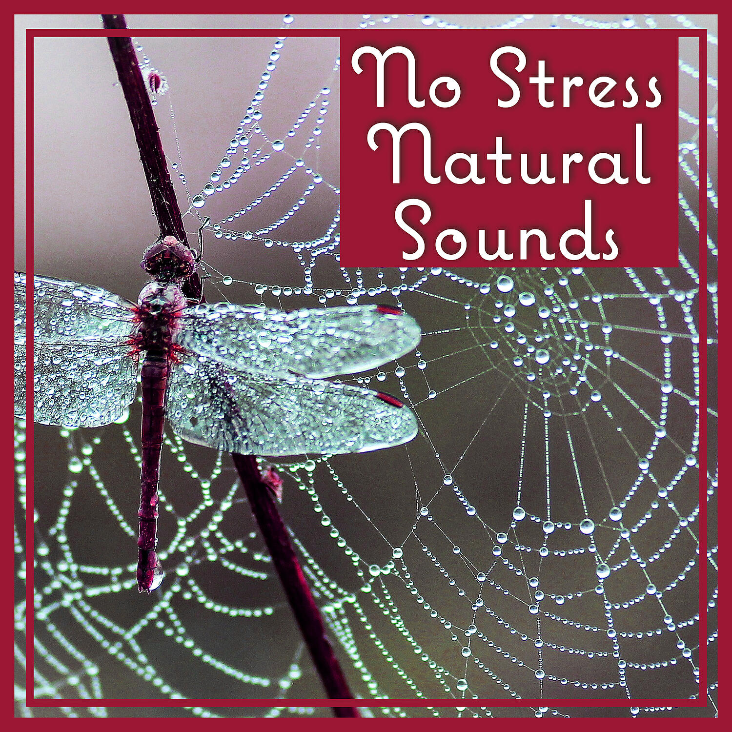 Less Stress Music Academy - Soft Background Music