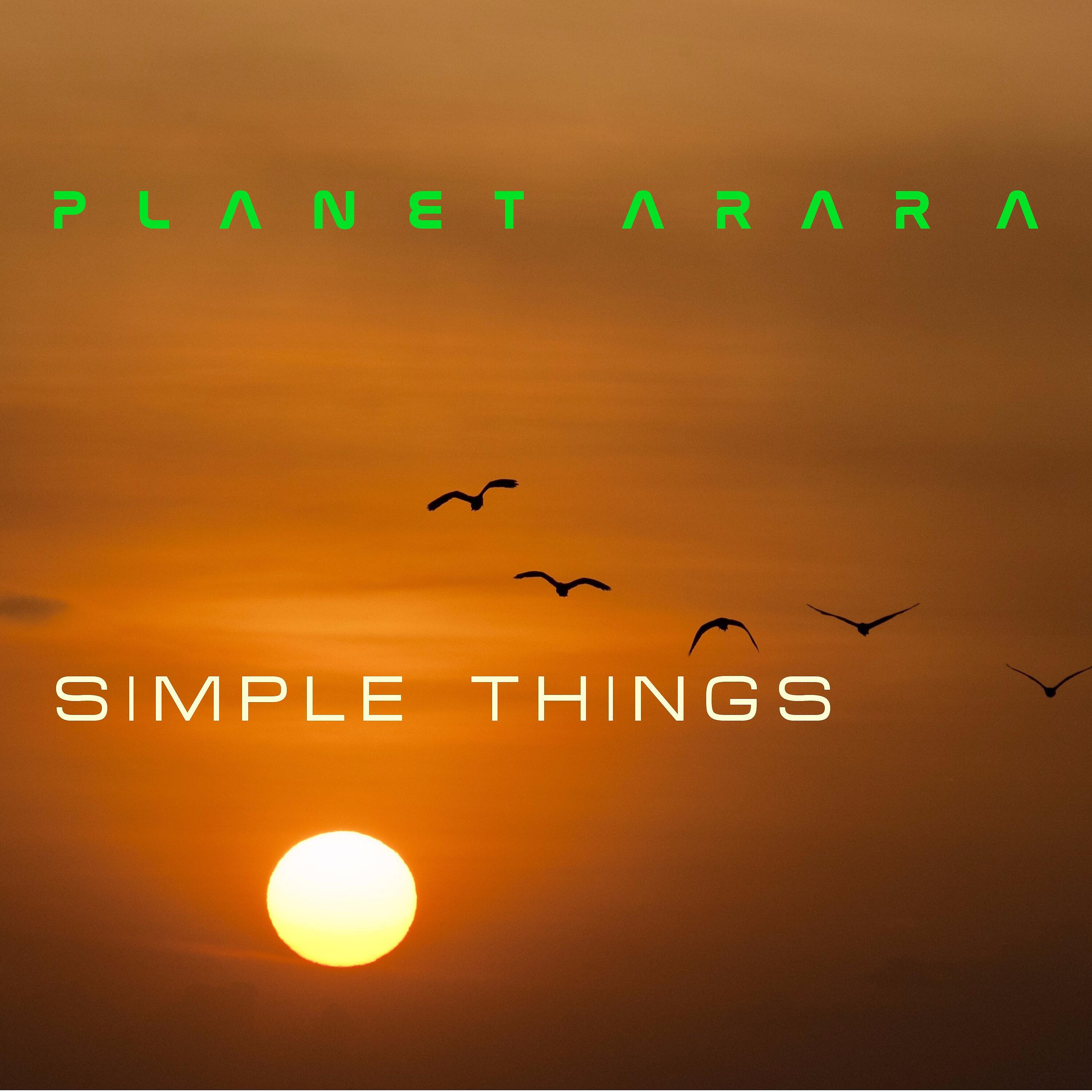 Planet Arara - Macaw Land