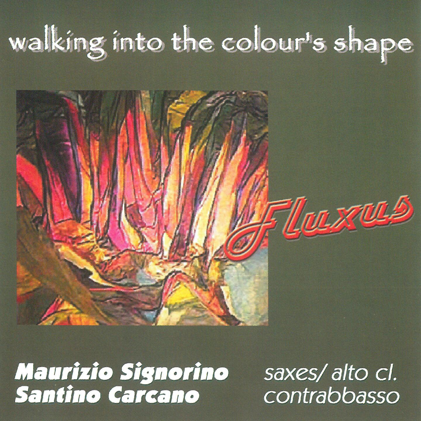 FLUXUS - Walking into the Colour's Shape
