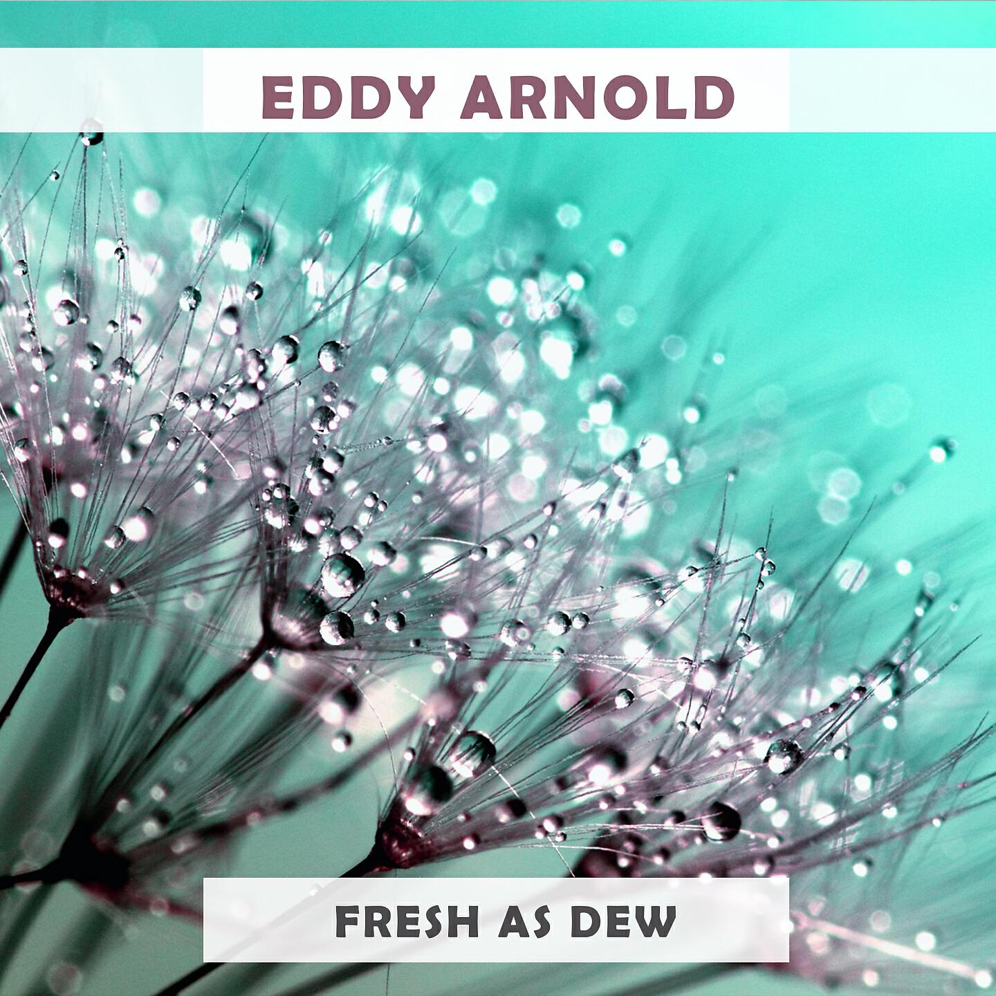 Eddy Arnold - I Heard The Bells On Christmas Day