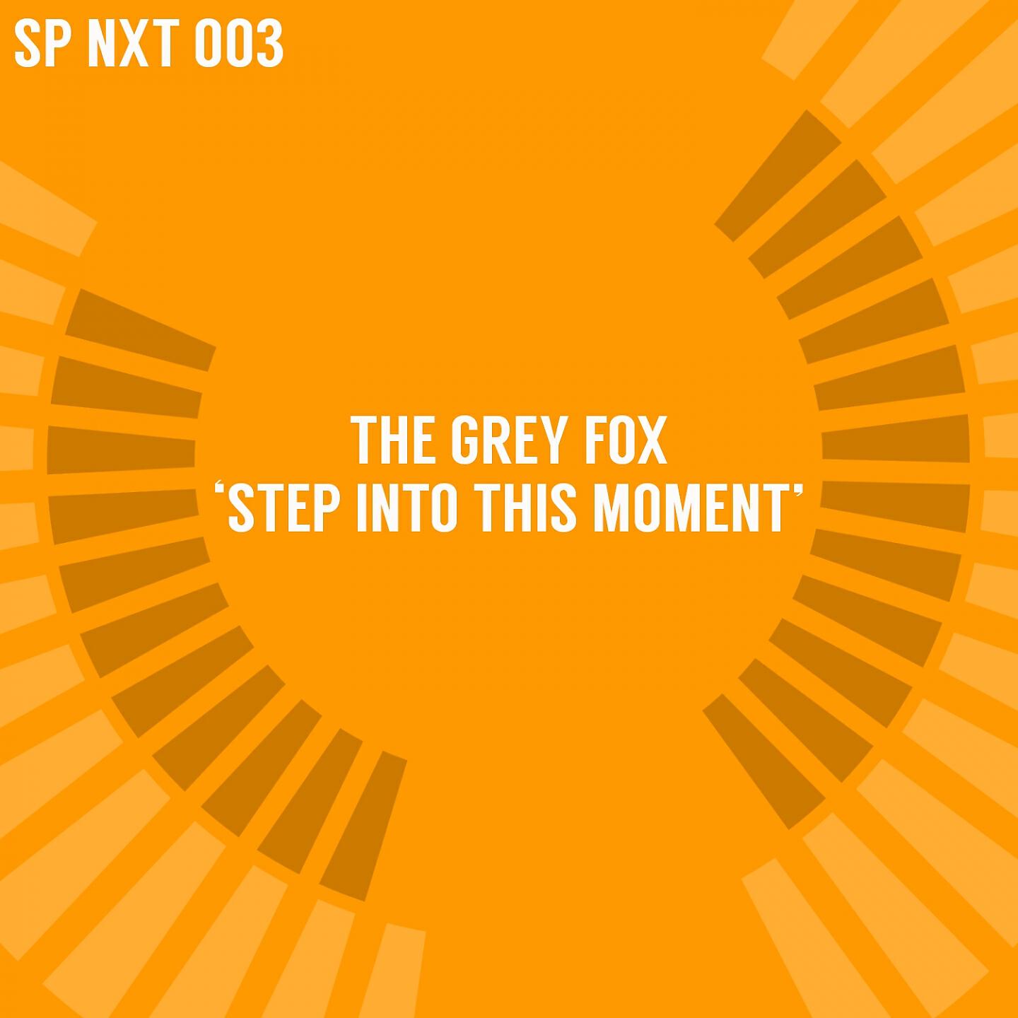 The Grey Fox - Step into This Moment