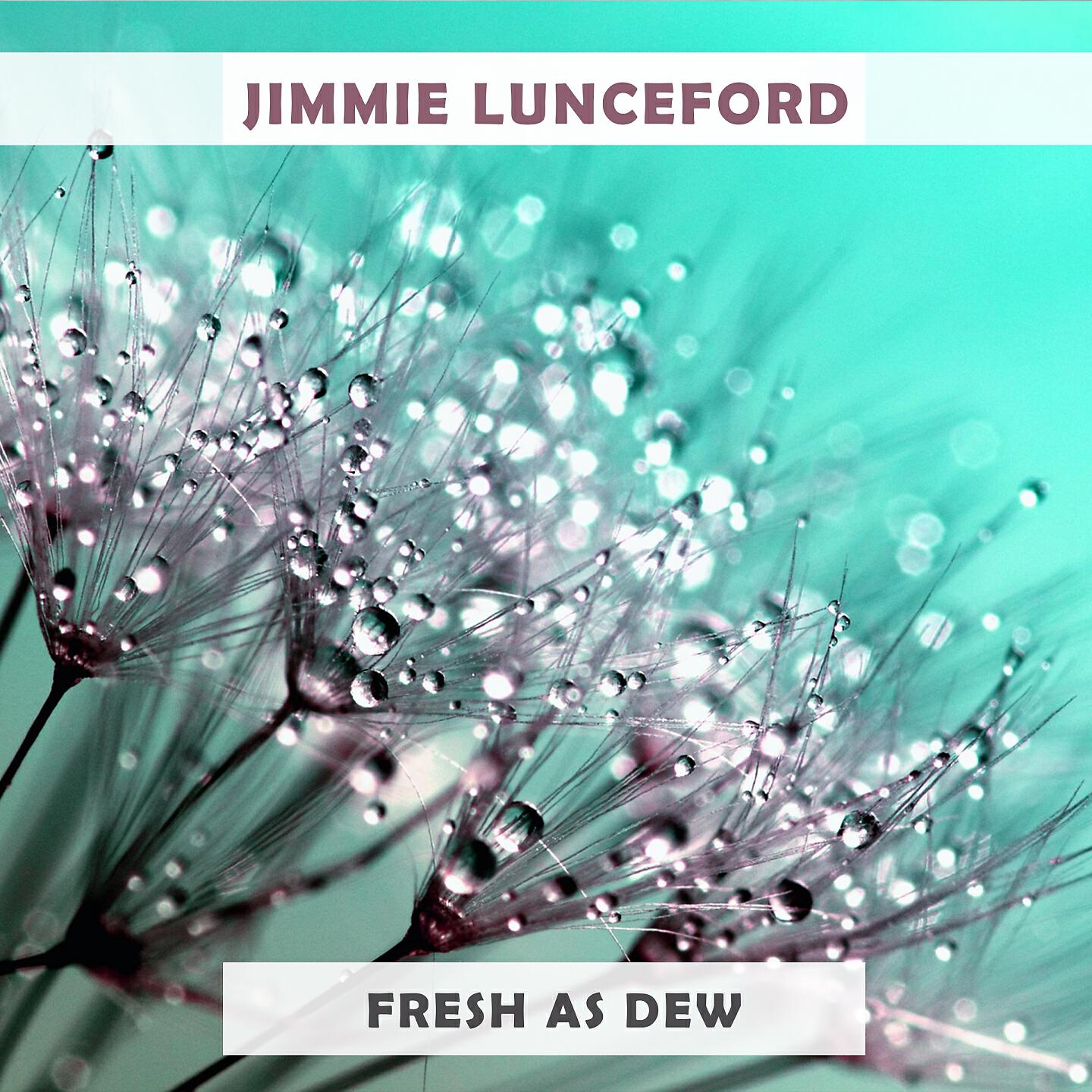 Jimmie Lunceford - Slumming On Park Avenue