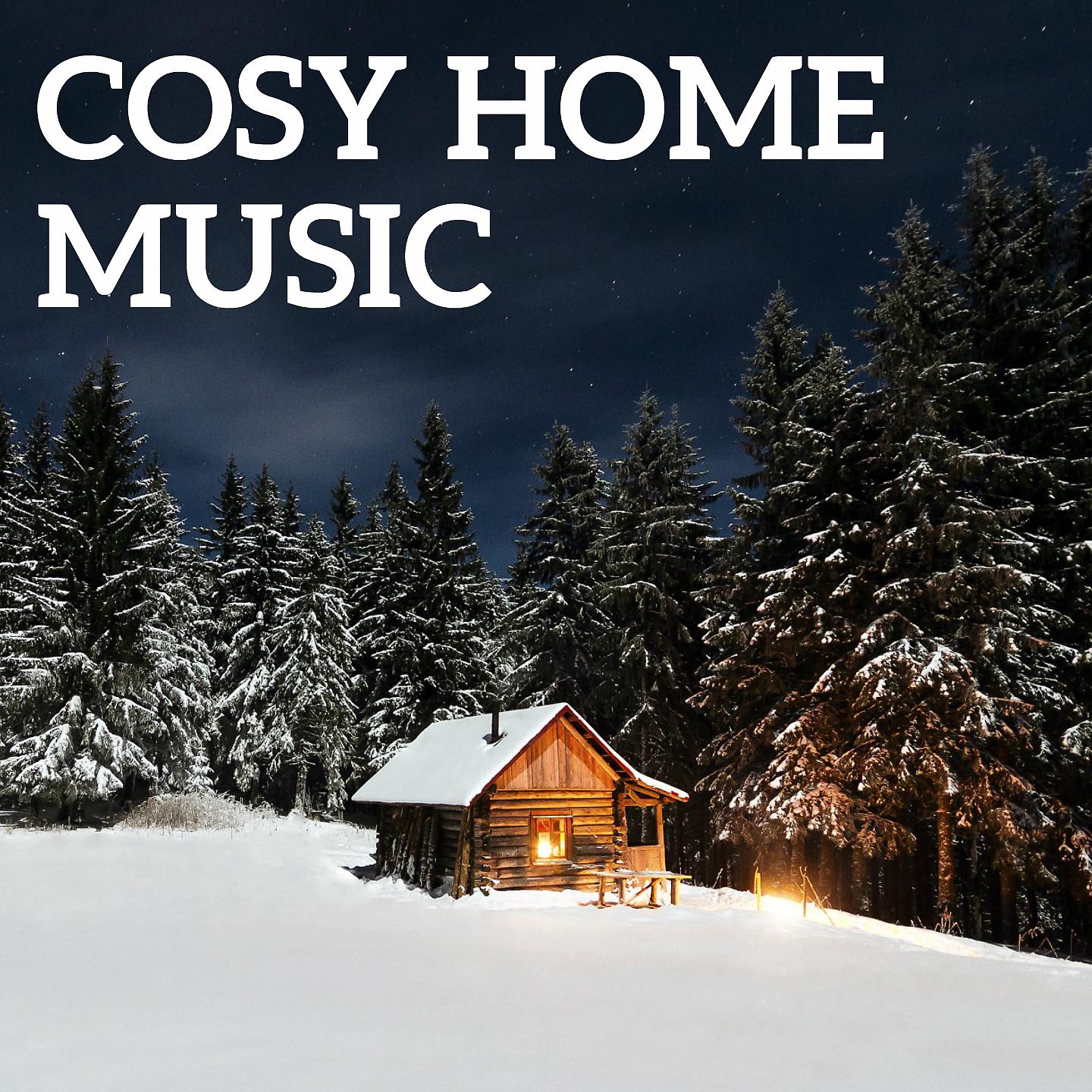 Постер альбома Cosy Home Music