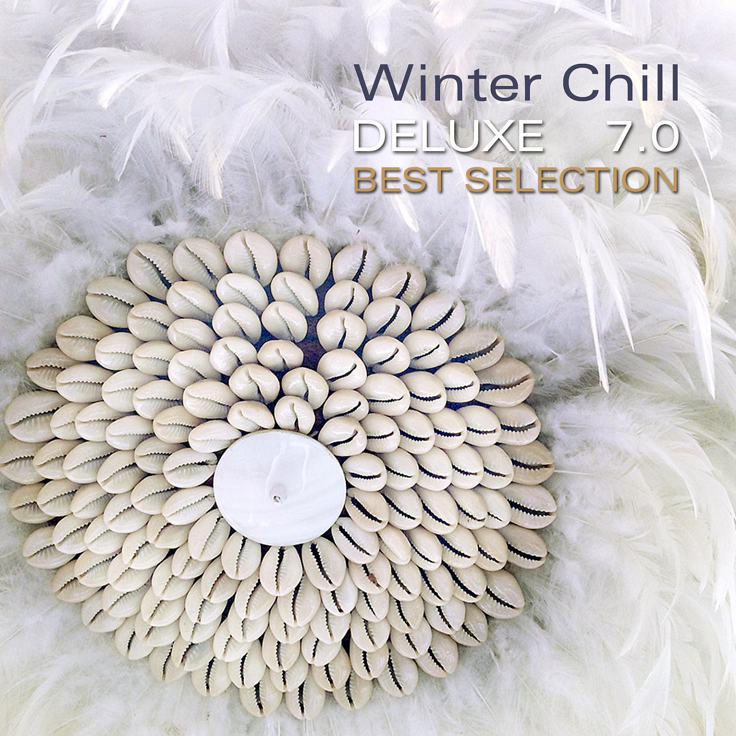 Постер альбома Winter Chill Deluxe 7.0