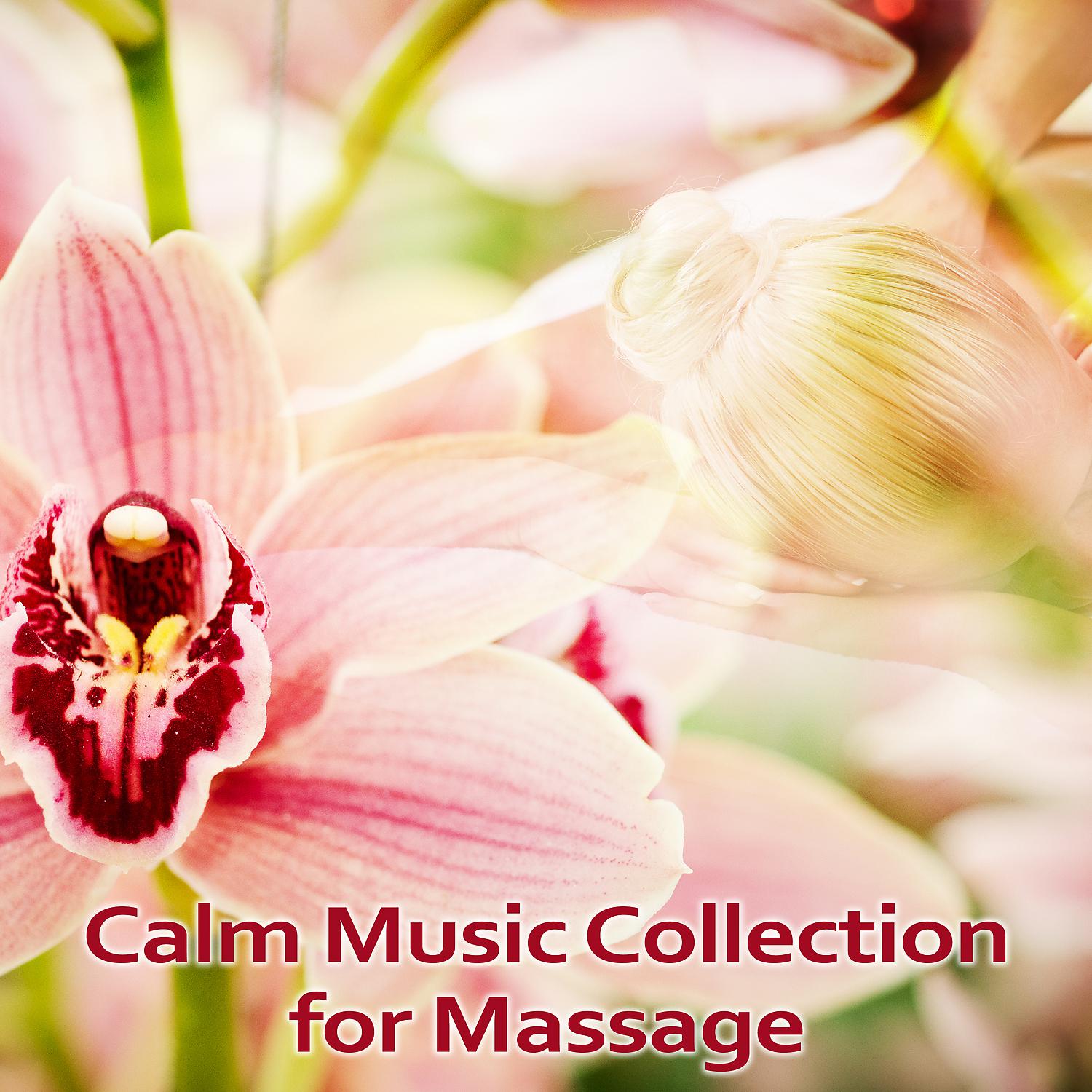 Постер альбома Calm Music Collection for Massage - Massage Wellness Moment, Serenity and Zen Relaxation, Positive Vibration