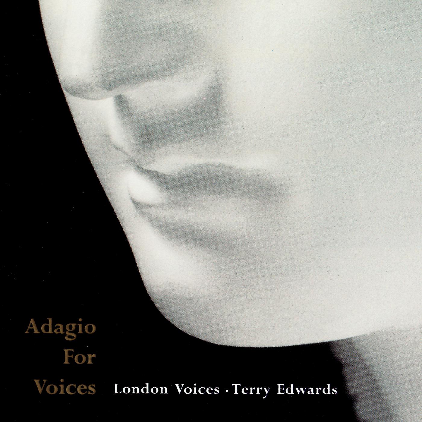 Постер альбома Adagio for Voices