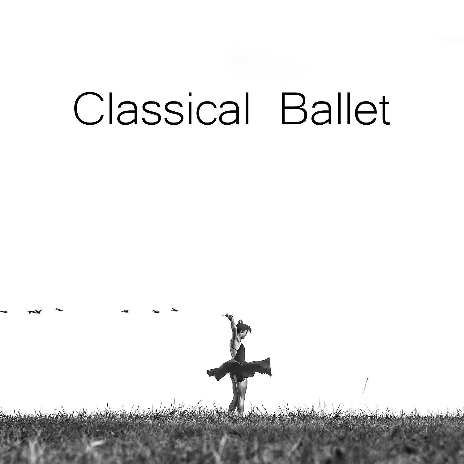 VARIOUS ARTISTS - Magnificat primi toni, 23 Fugues on the 1st Tone in D Minor: Fugue I-2