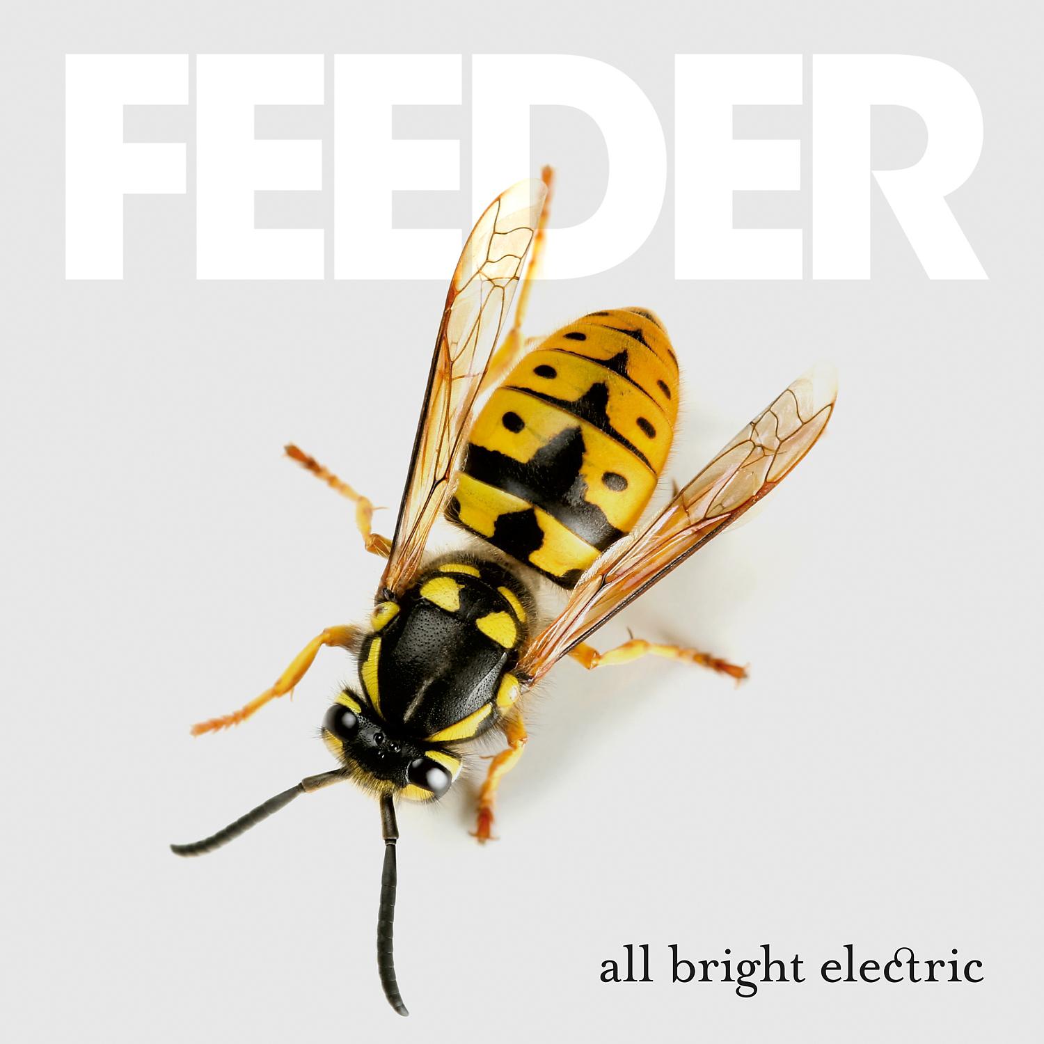 Постер альбома All Bright Electric
