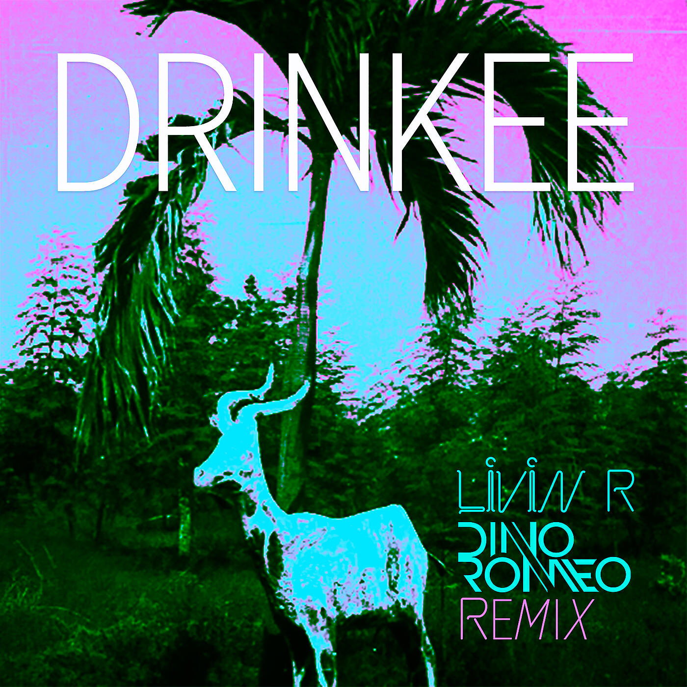 Постер альбома Drinkee (Livin R & Dino Romeo Remix)