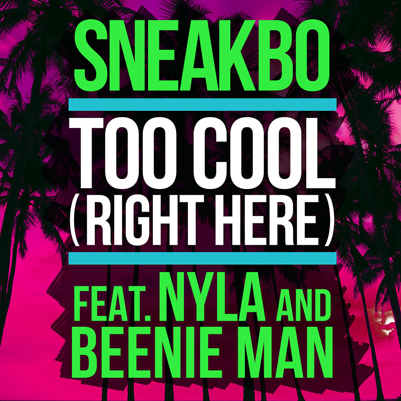 Sneakbo - Too Cool (Right Here)