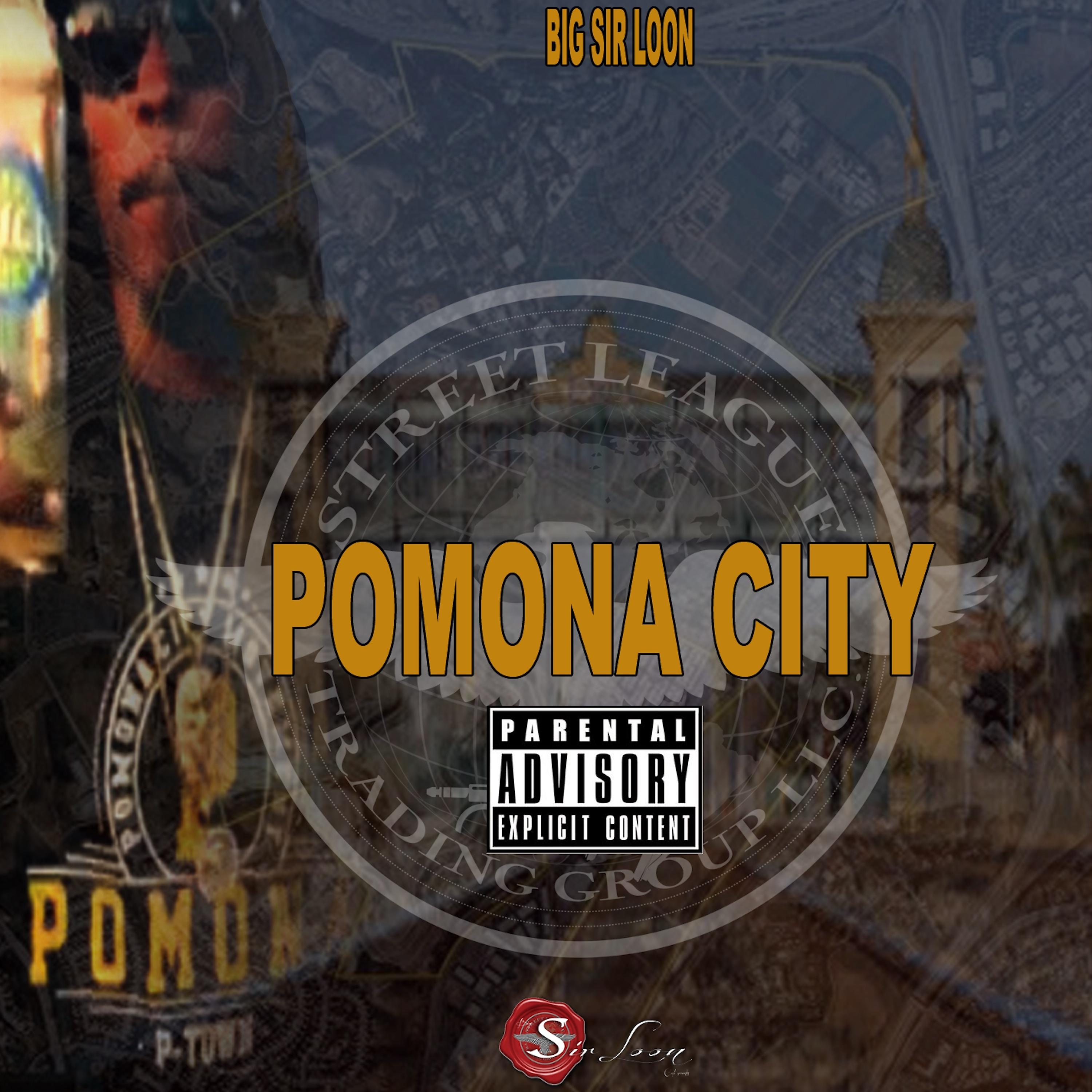 Постер альбома Pomona City