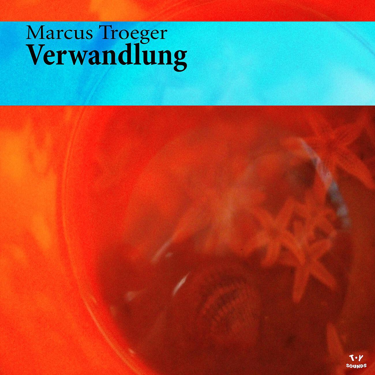 Marcus Troeger - Verwandlung (Instrumental Mix)