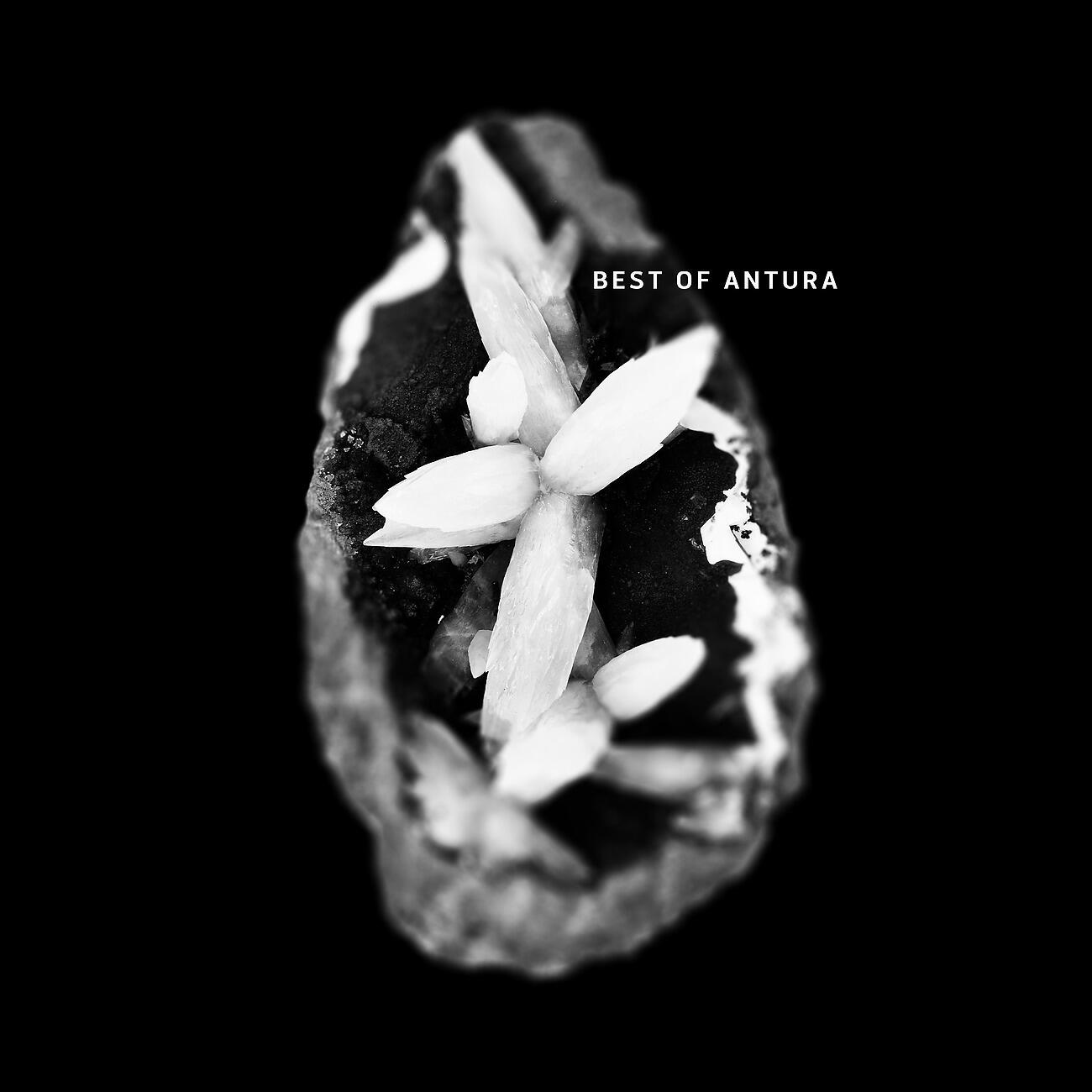 Mr. Lekka - Anusaya (Alex Young & Deetech Remix)