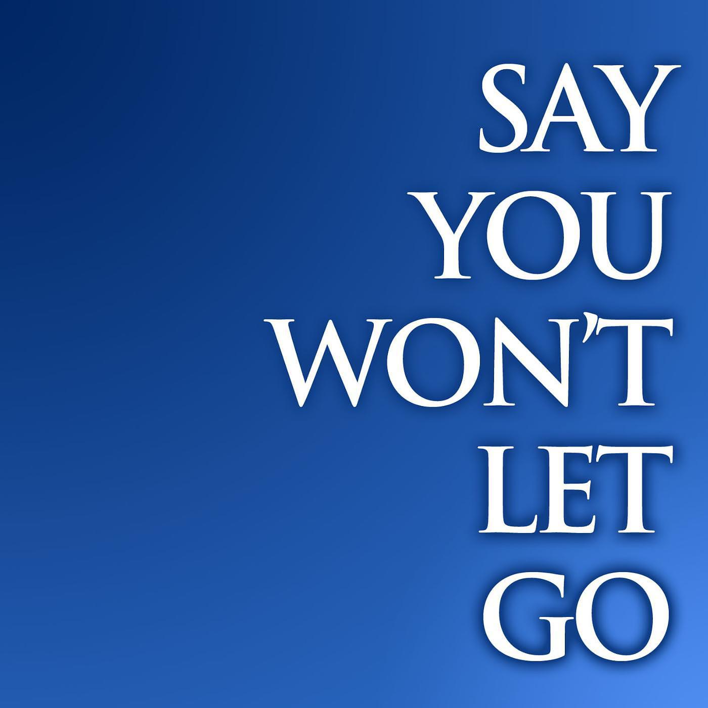 Постер альбома Say You Won't Let Go