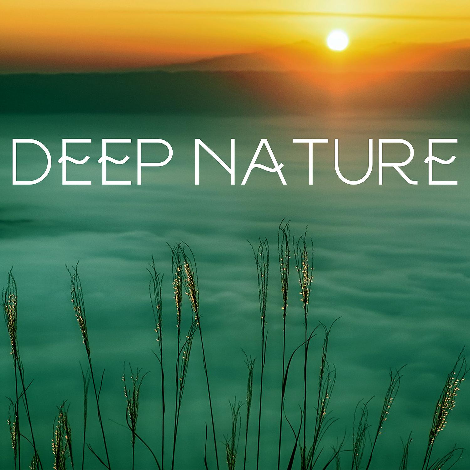 Постер альбома Deep Nature -  Ambient New Age Music, Serenity Instrumental, Rain for True Relaxation