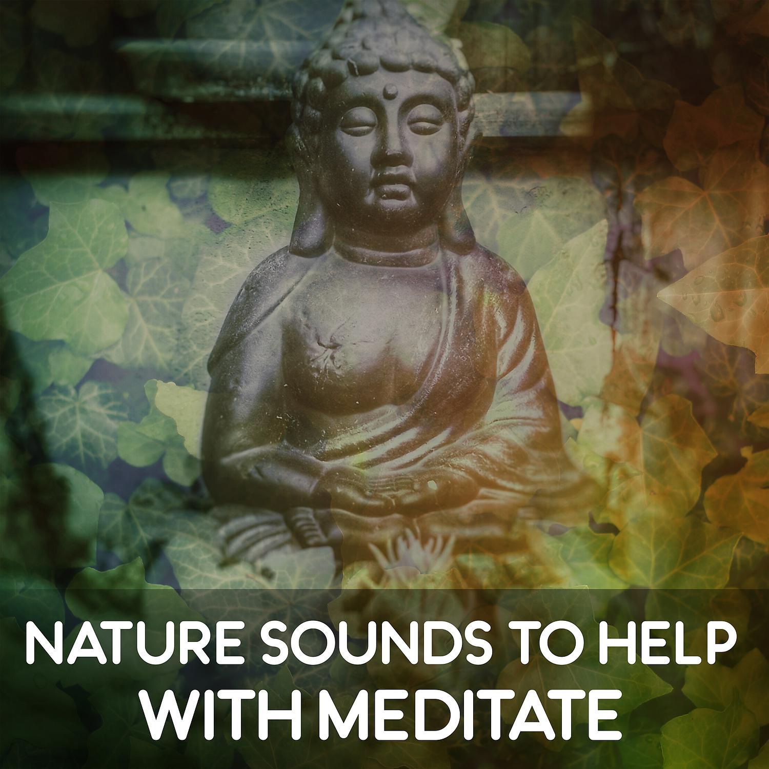 Постер альбома Nature Sounds to Help with Meditate – Meditation Calmness, Buddha Relaxation, Chakra Balancing, Soft Sounds to Rest