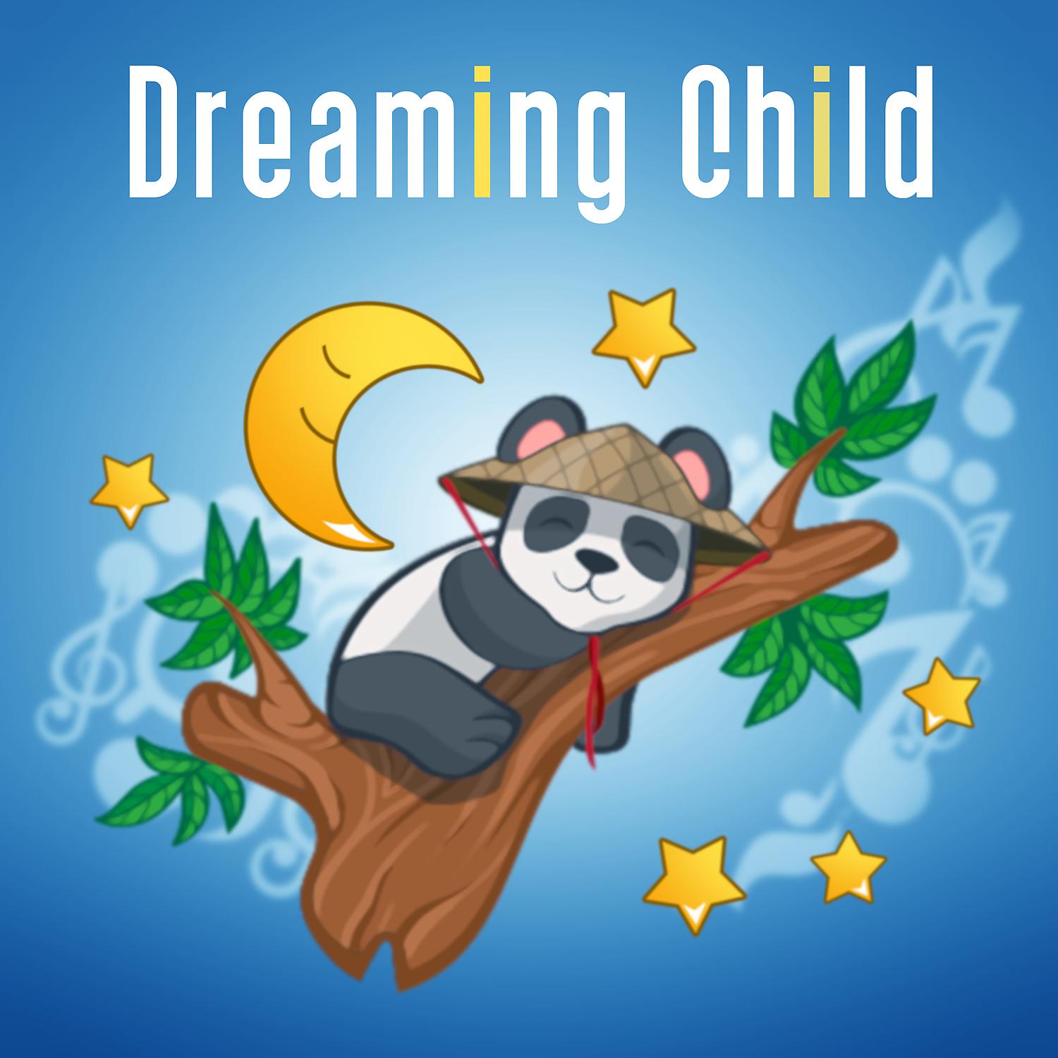 Постер альбома Dreaming Child – Lullabies for Baby, Cradle Baby Songs, Haydn, Schubert