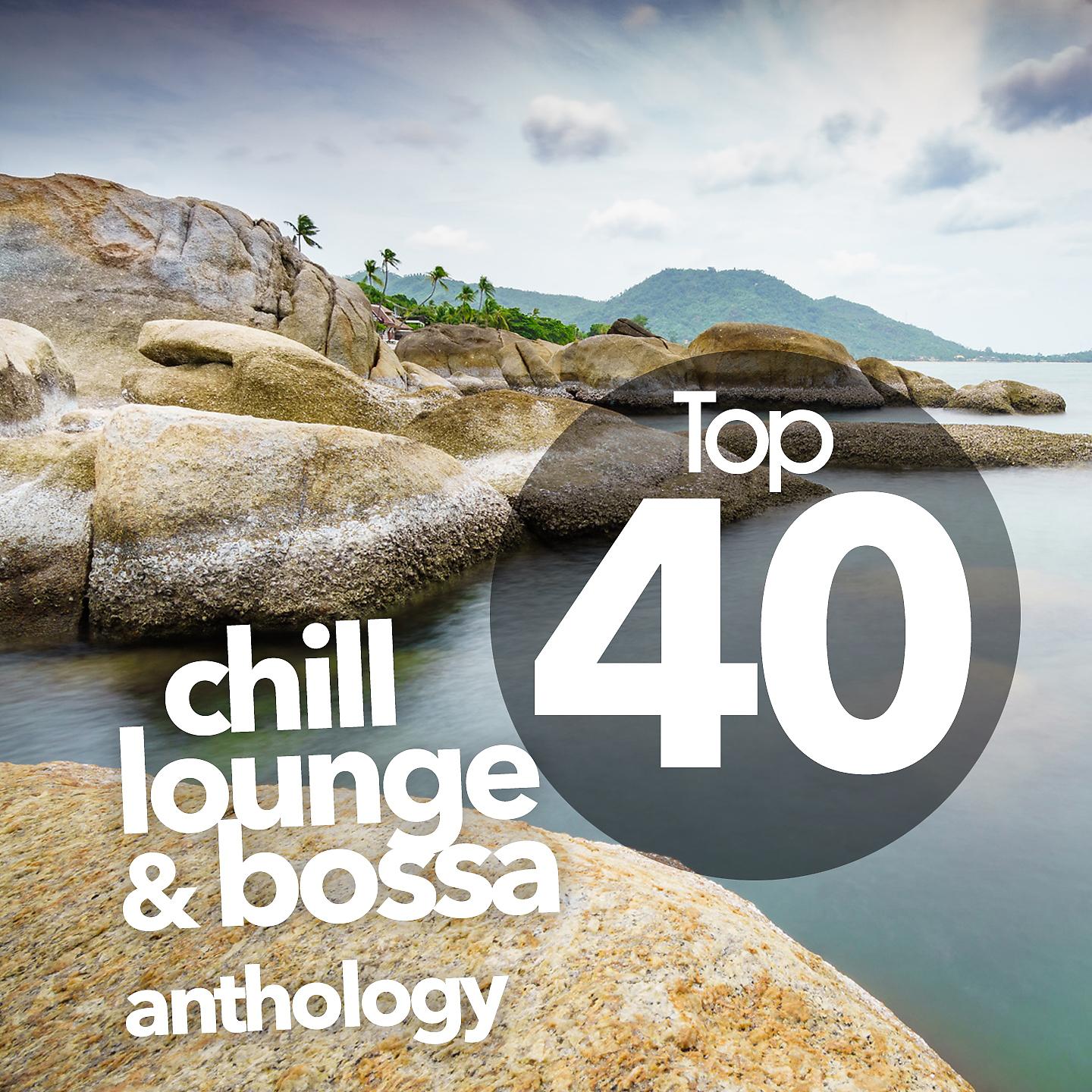 Постер альбома Top 40 Chill Lounge and Bossa Anthology