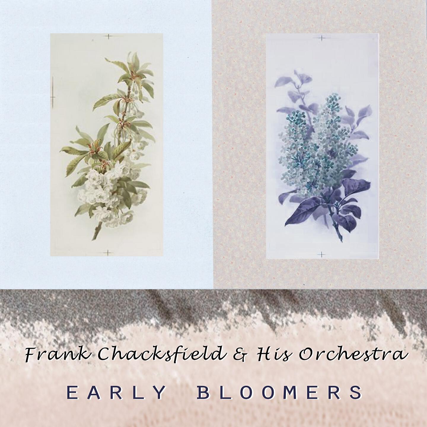 Frank Chacksfield & His Orchestra - Song Of Canterbury