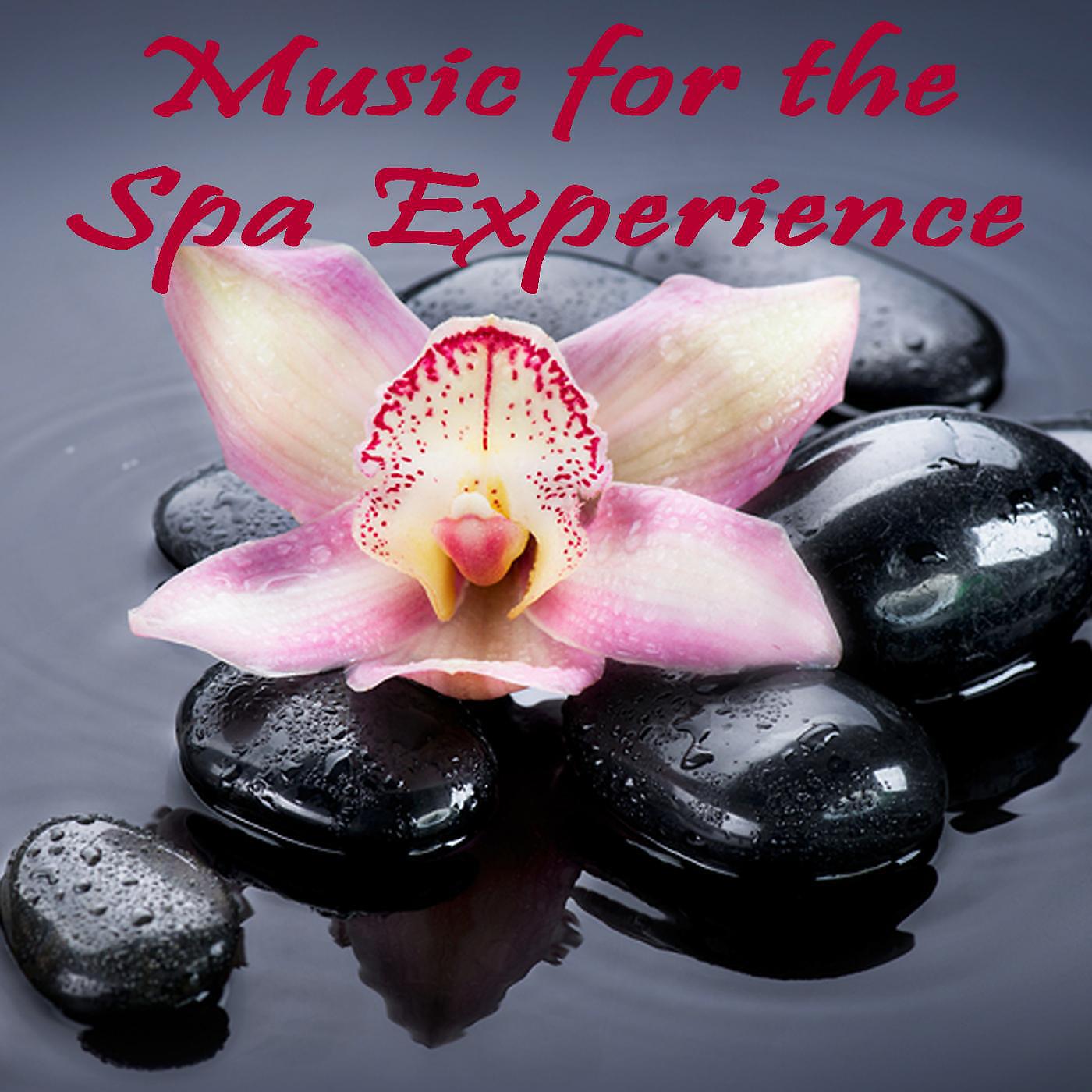 Best Relaxing Spa Music - I Can't Help Falling in Love With You (Instrumental Version)