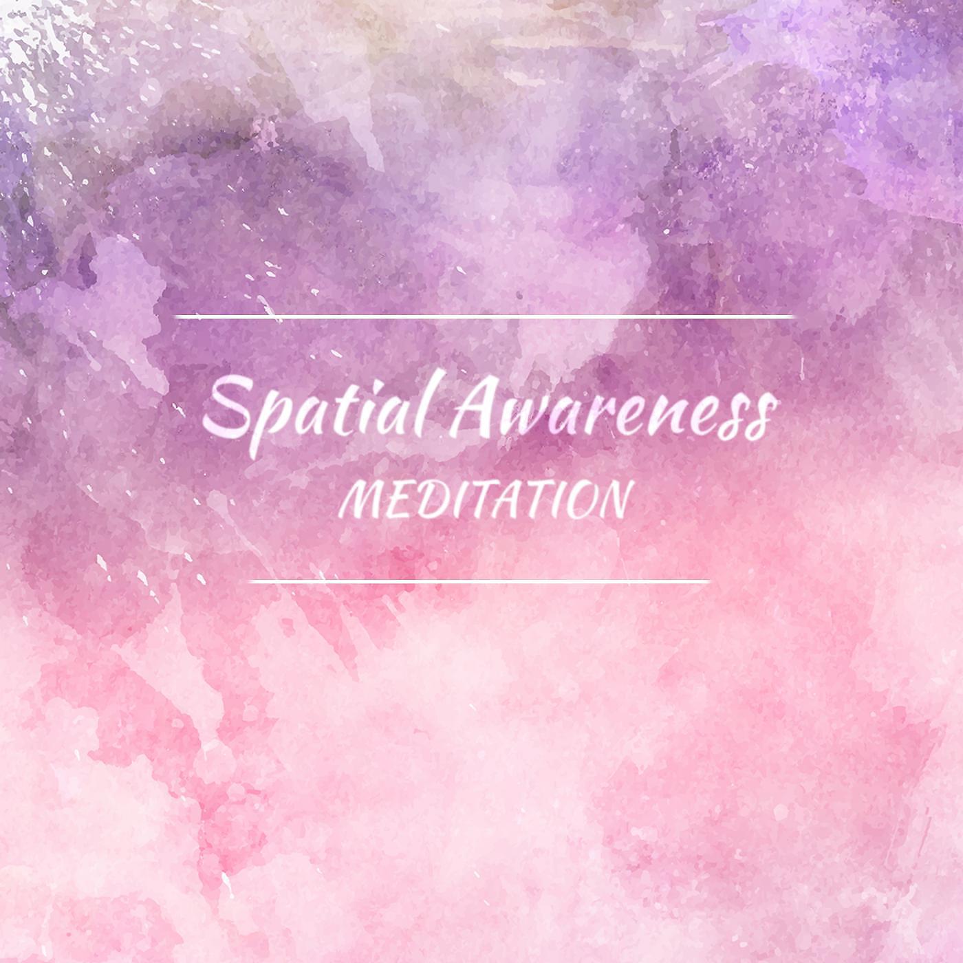 Постер альбома Spatial Awareness Meditation