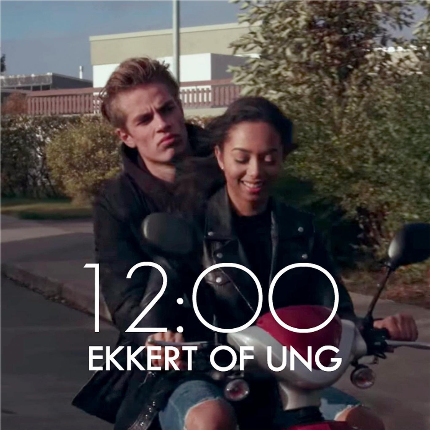 Постер альбома Ekkert of Ung
