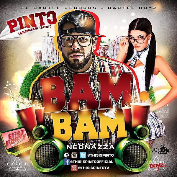 Pinto Picasso - Bam Bam