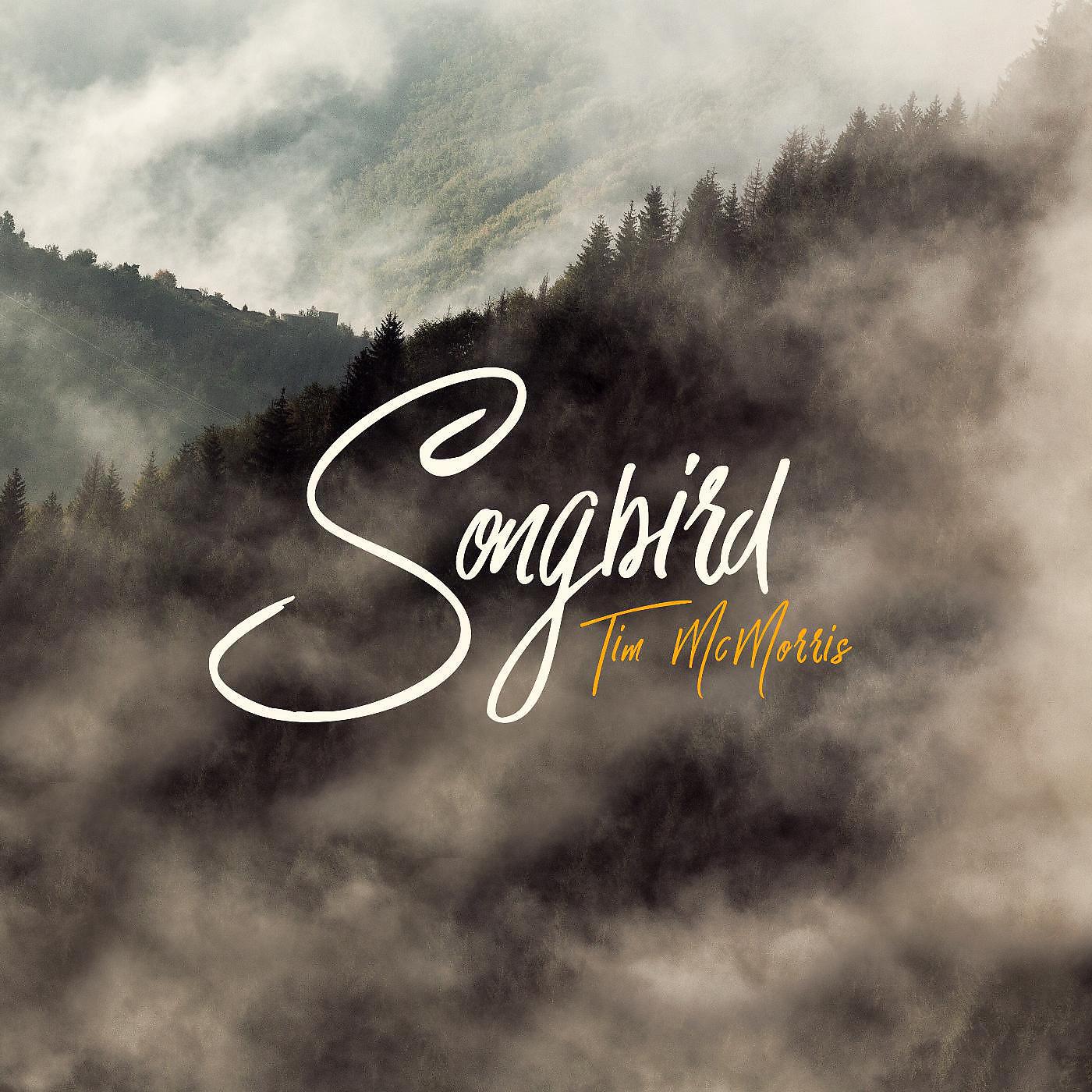 Tim McMorris - Songbird