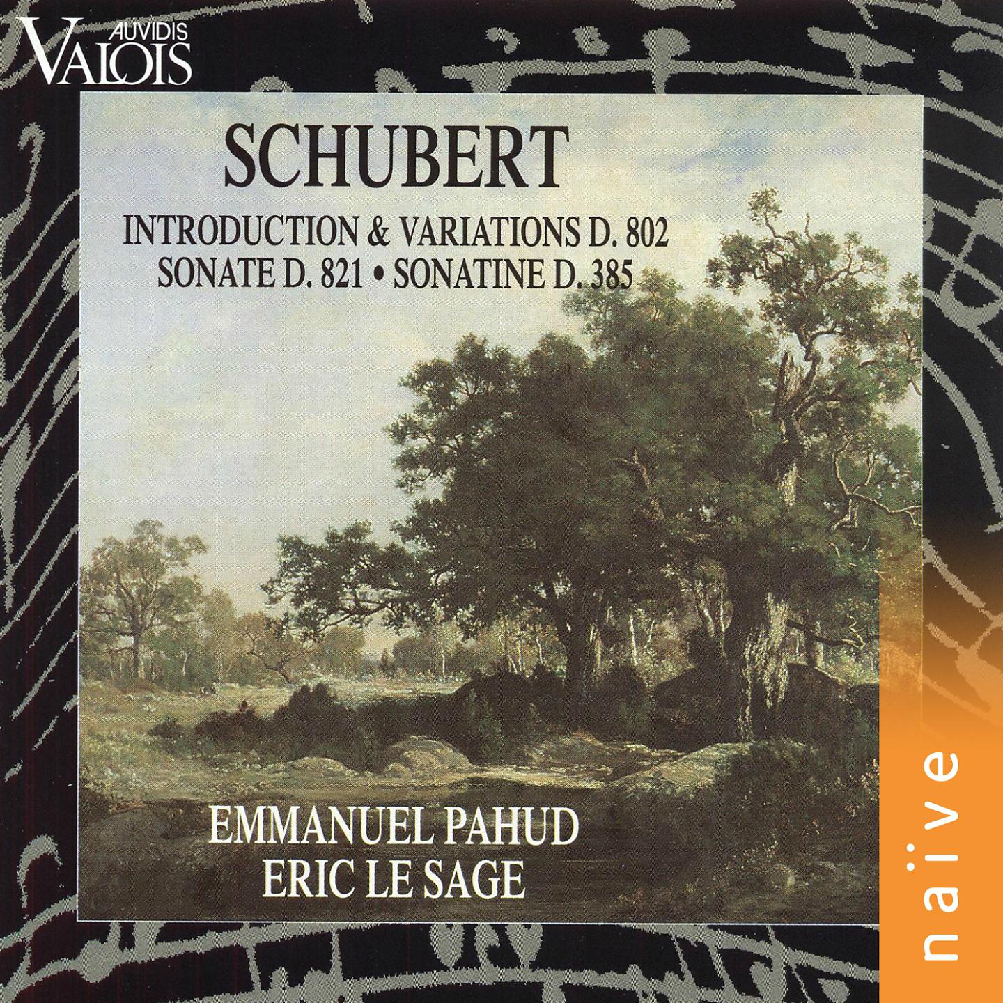 Постер альбома Schubert: Introduction et variations D. 802, Sonate D. 821, sonatine D. 385